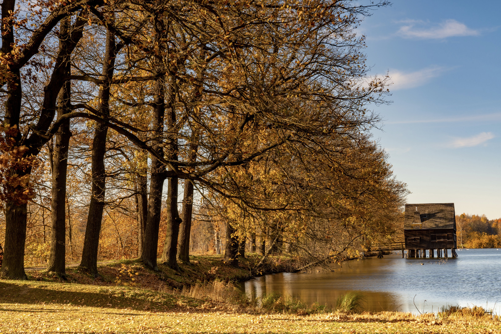 Letzte Herbststrahlen