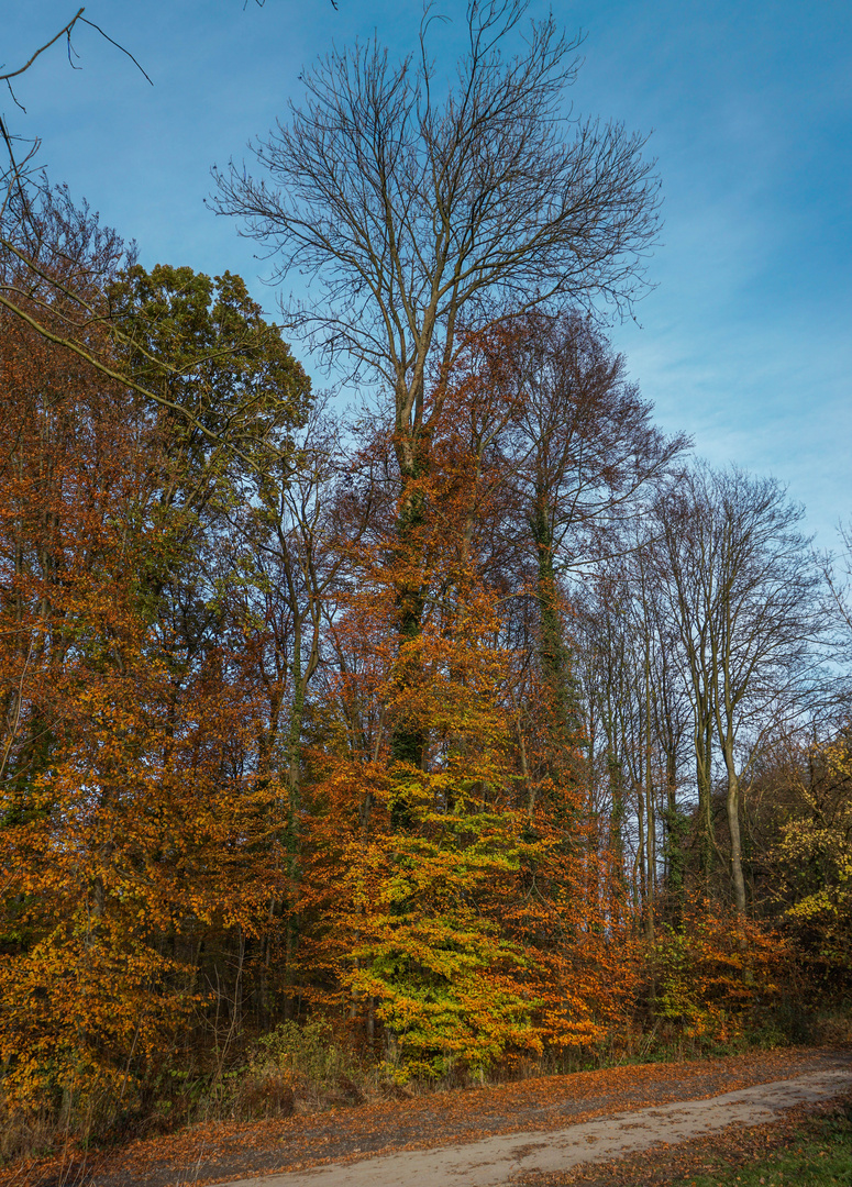 Letzte Herbsttag 