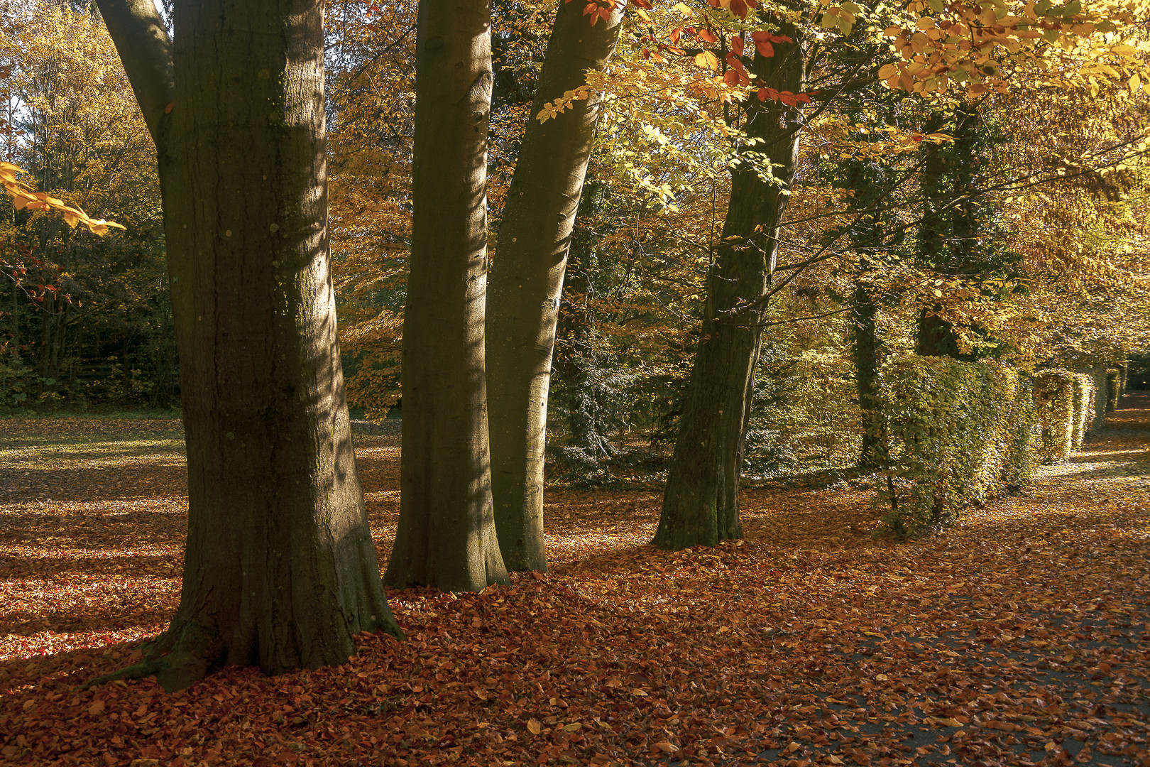 Letzte Herbsttage