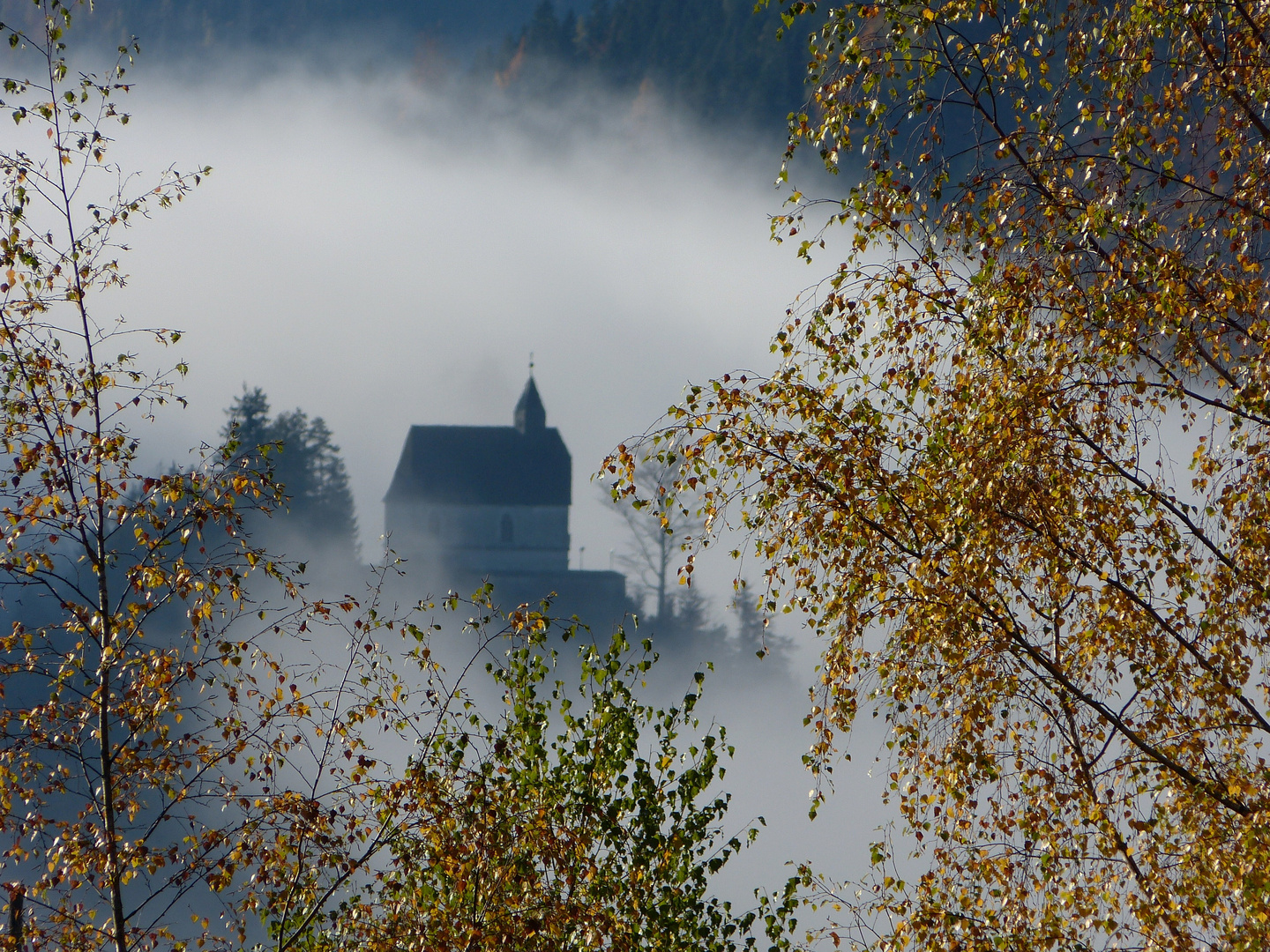 Letzte Herbsttage