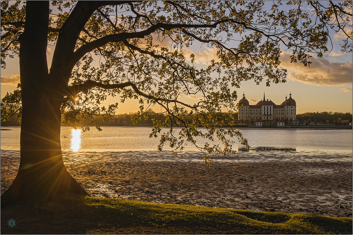 Letzte Herbsttage