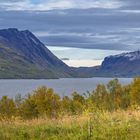 Letzte Herbsttage am Fjord