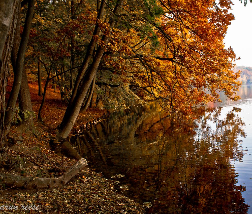 letzte Herbsttage