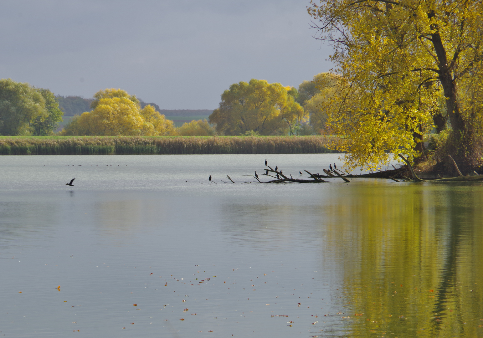 Letzte Herbsttage . . . 