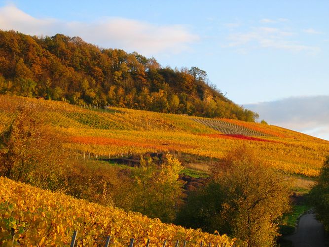 Letzte Herbstwärme