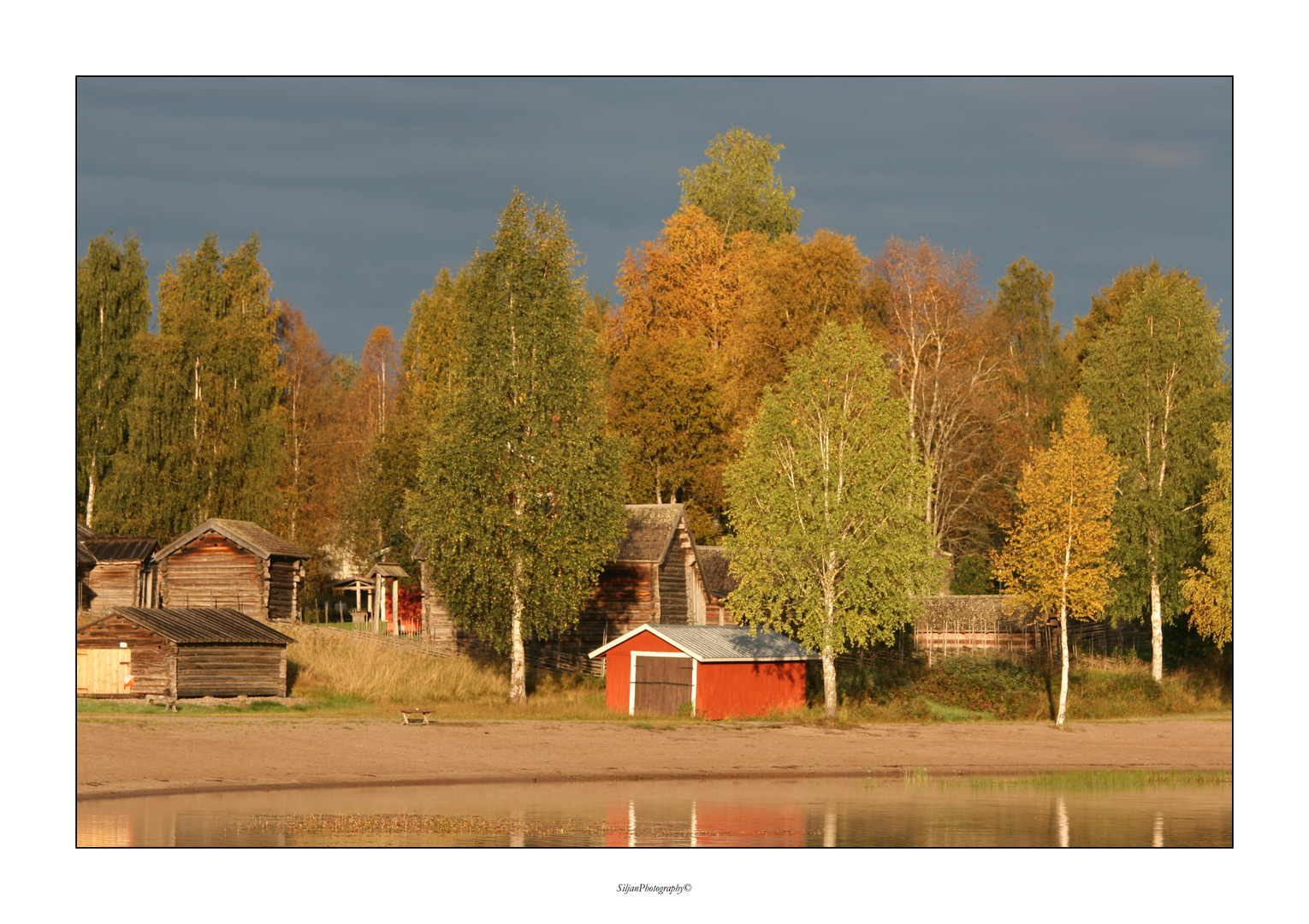 Letzte leuchtende Herbstgrüße...