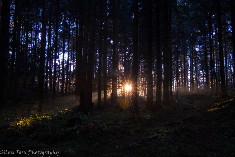 Letzte Lichtstrahlen