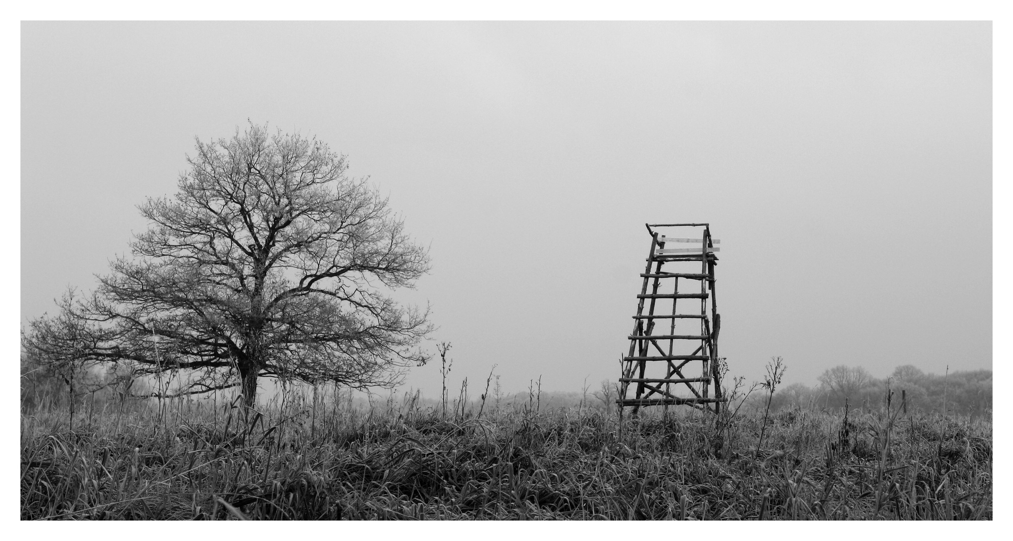 Letzte Novembertage