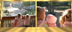 Letzte Oktobersonnenstrahlen im Osnabrücker Zoo