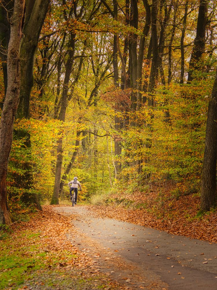 Letzte Radtour im Herbst