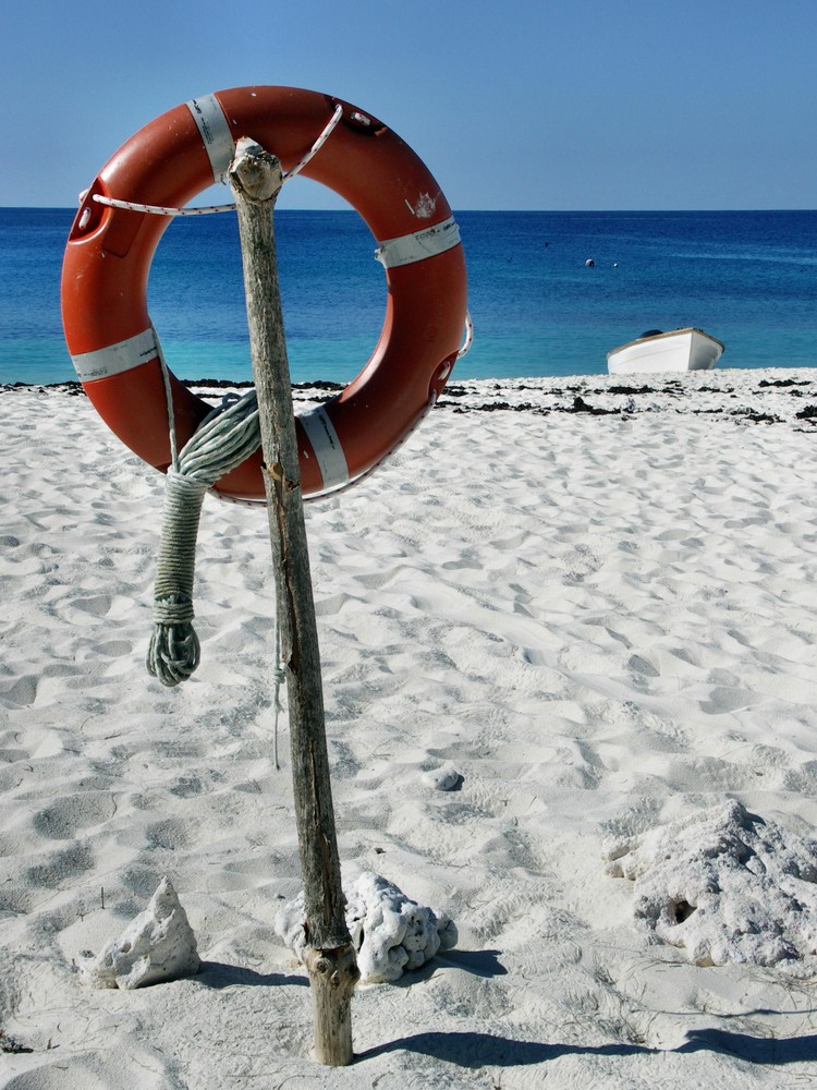 Letzte Rettung: Auf Cousin Island, Seychellen.