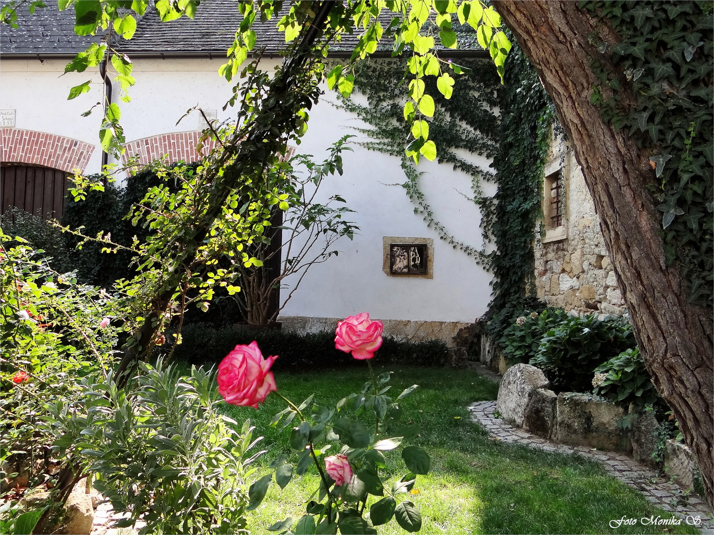 letzte Rosen in einem Hinterhof in Rust