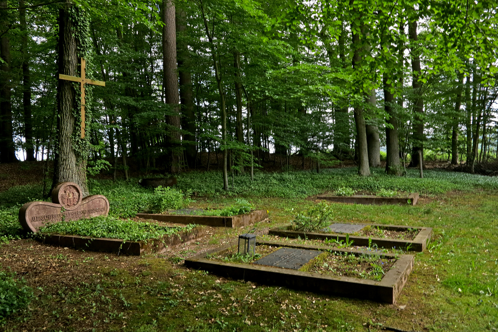 letzte Ruhestätte im Wald