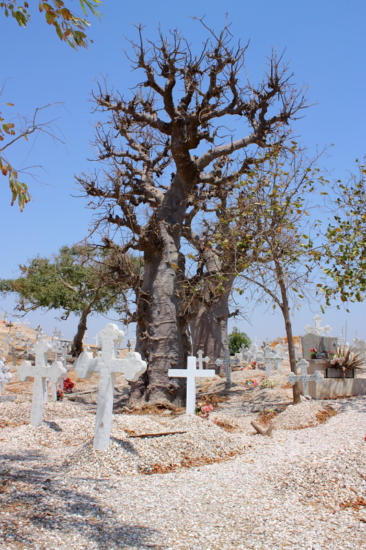 Letzte Schlaf unter dem Baobab