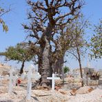 Letzte Schlaf unter dem Baobab