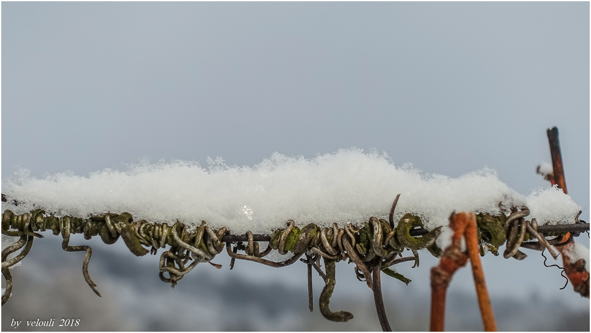 letzte Schneeperiode