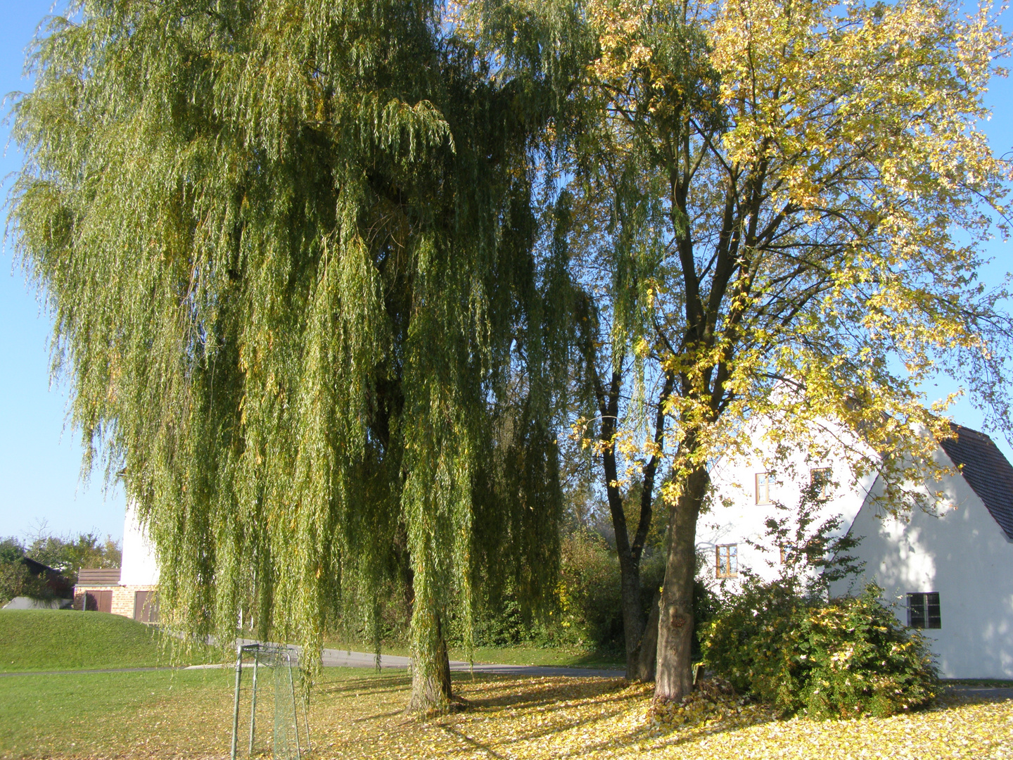 letzte schöne Herbsttage!