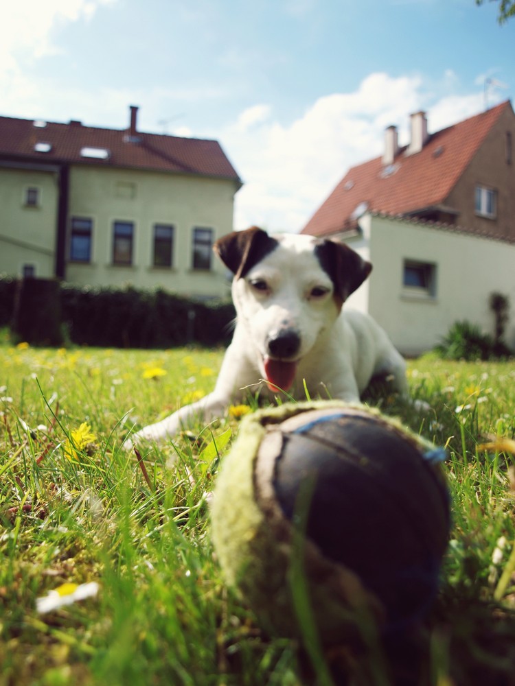 Letzte schöne Sommertag