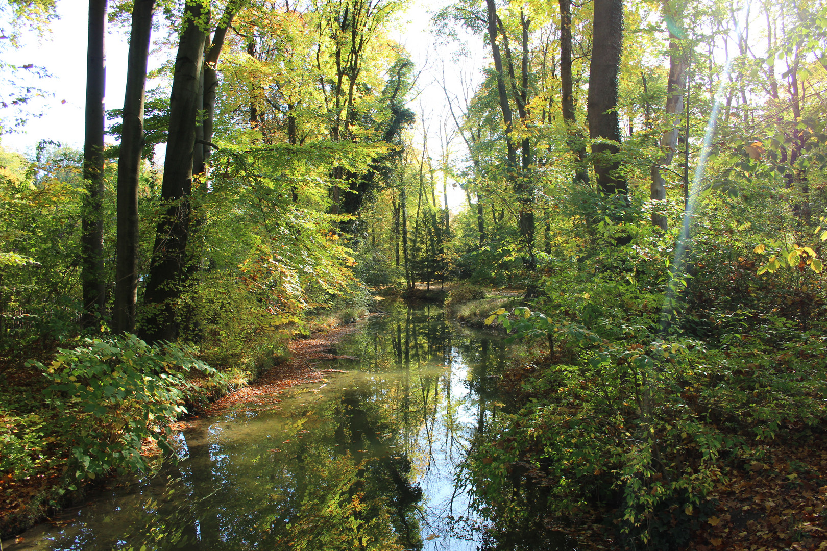 Letzte schöner Tag von Herbst