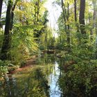 Letzte schöner Tag von Herbst