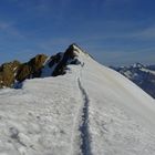 letzte Schritte zum Gipfel des Wilden Freiger