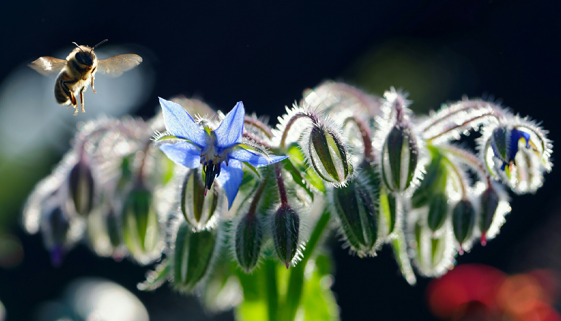 letzte Sommer impressionen