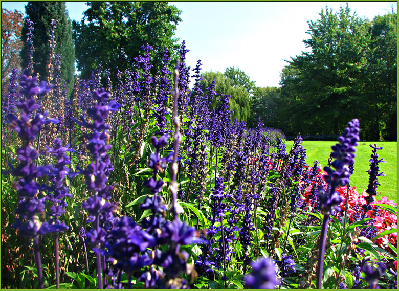 Letzte Sommer-Impressionen