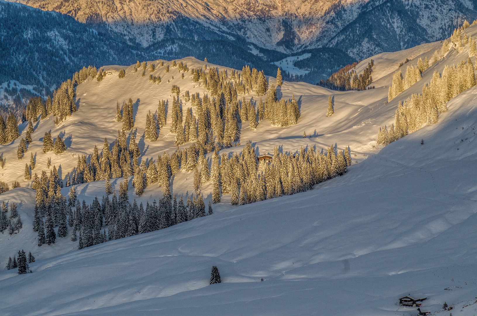 Letzte Sonne auf der Alm