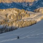 Letzte Sonne auf der Alm