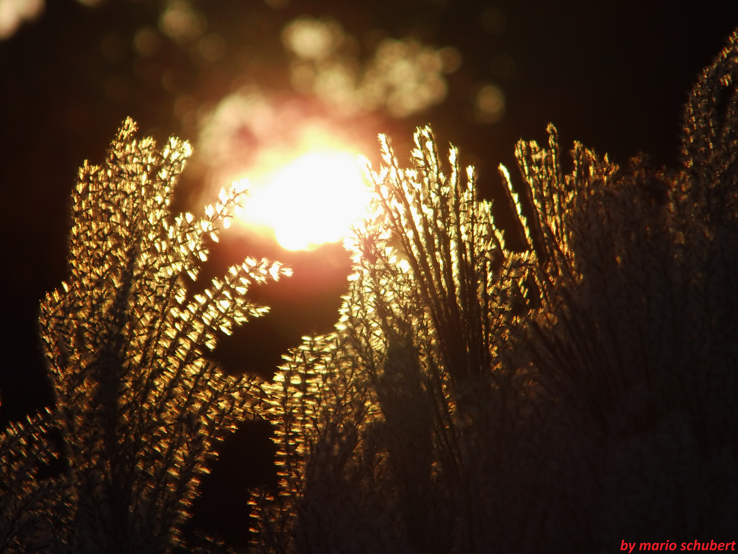 Letzte Sonnenlicht