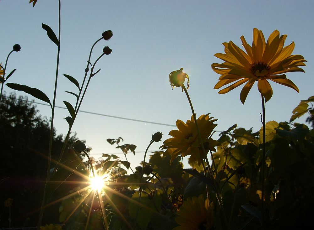 Letzte Sonnenstrahlen