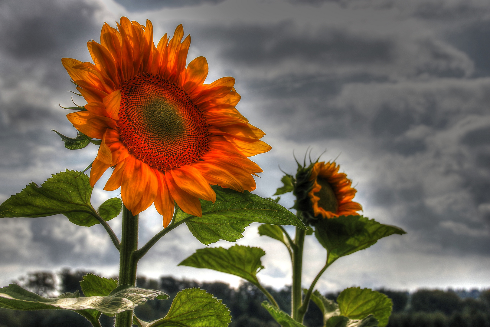 Letzte Sonnenstrahlen