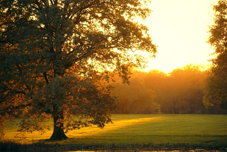 Letzte Sonnenstrahlen