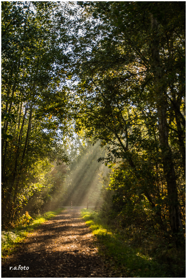 Letzte Sonnenstrahlen