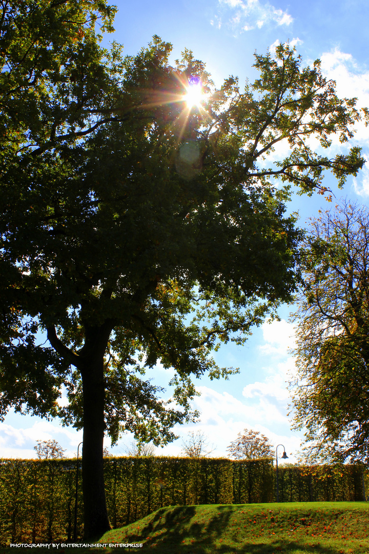 Letzte Sonnenstrahlen