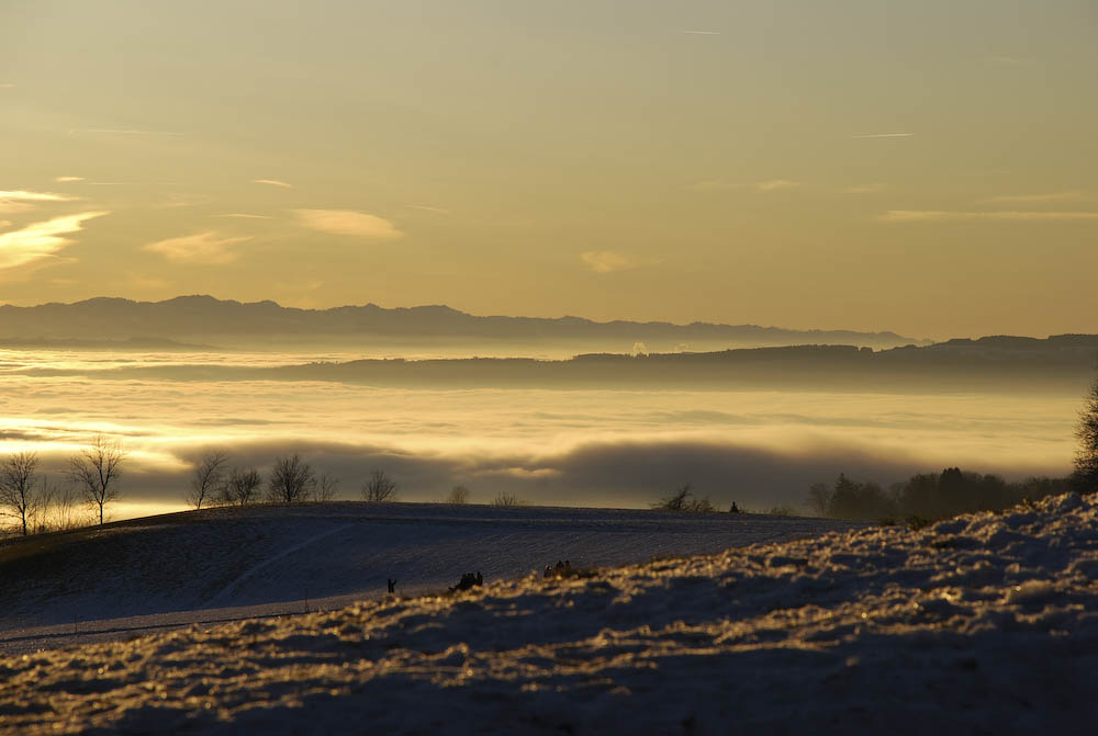 letzte Sonnenstrahlen