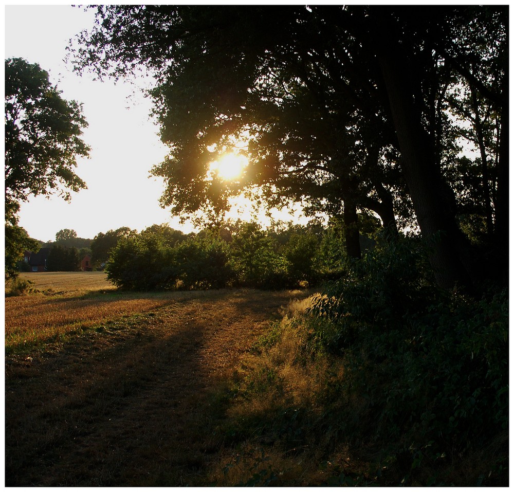 Letzte Sonnenstrahlen