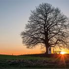 Letzte Sonnenstrahlen