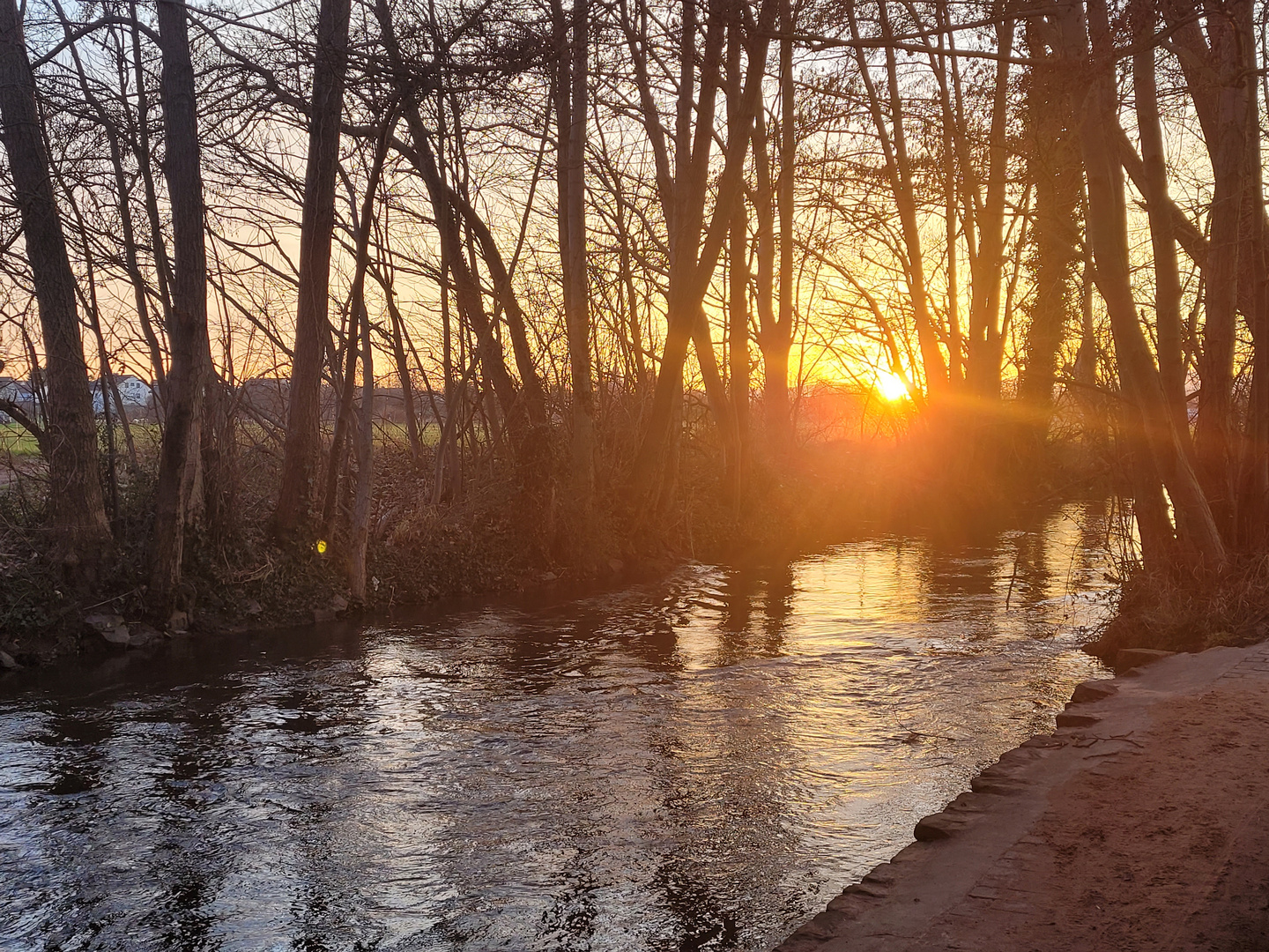 Letzte Sonnenstrahlen 