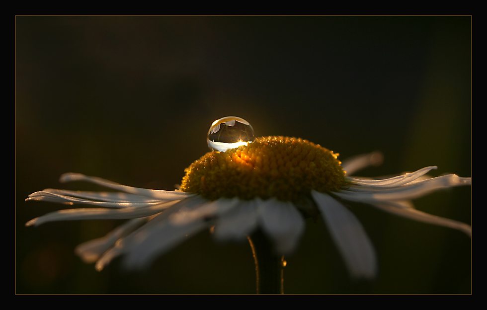 ...letzte Sonnenstrahlen...