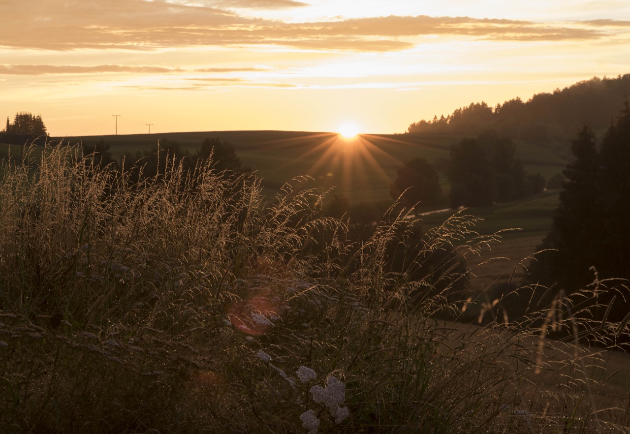 Letzte Sonnenstrahlen