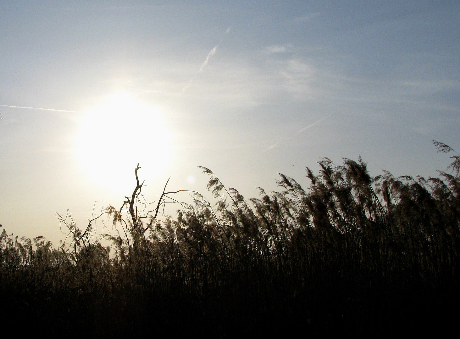 Letzte Sonnenstrahlen