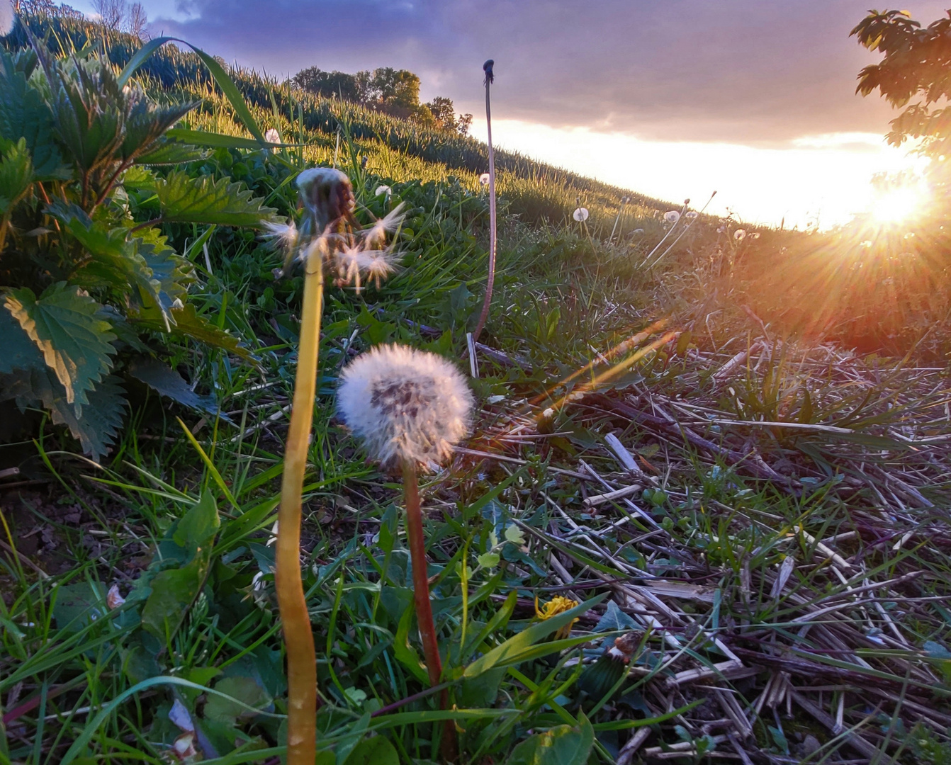 Letzte Sonnenstrahlen