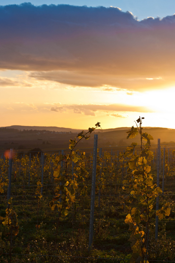 letzte Sonnenstrahlen