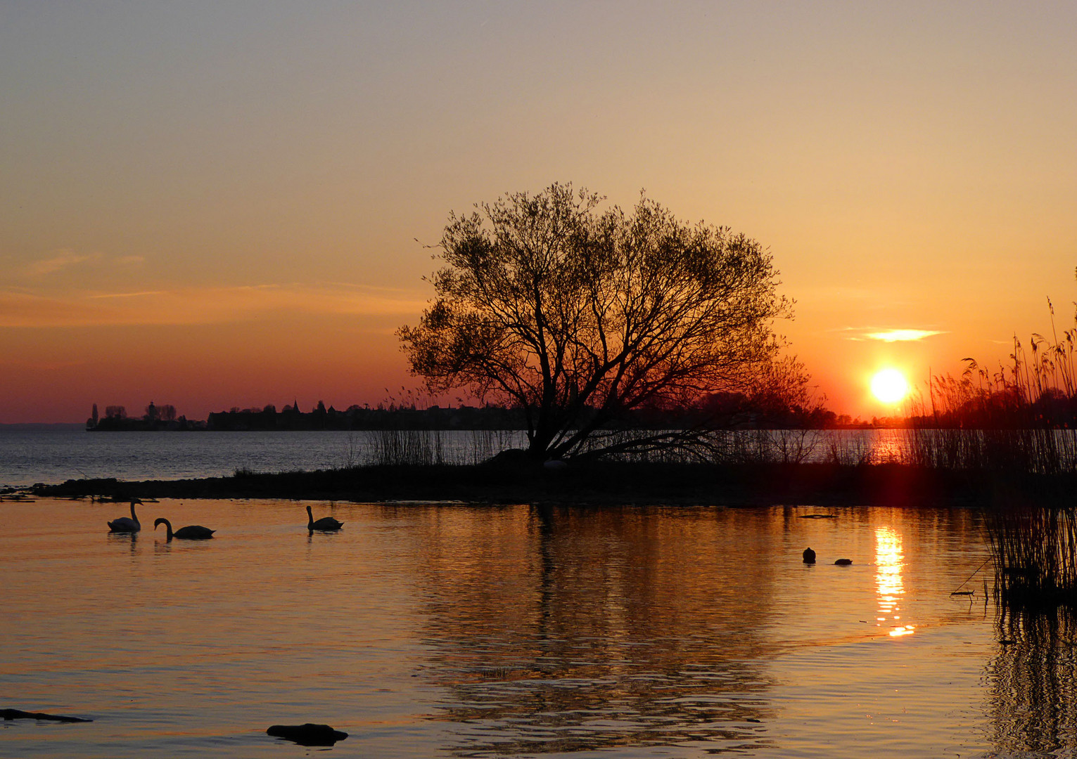 Letzte Sonnenstrahlen am Bodensee