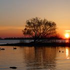 Letzte Sonnenstrahlen am Bodensee