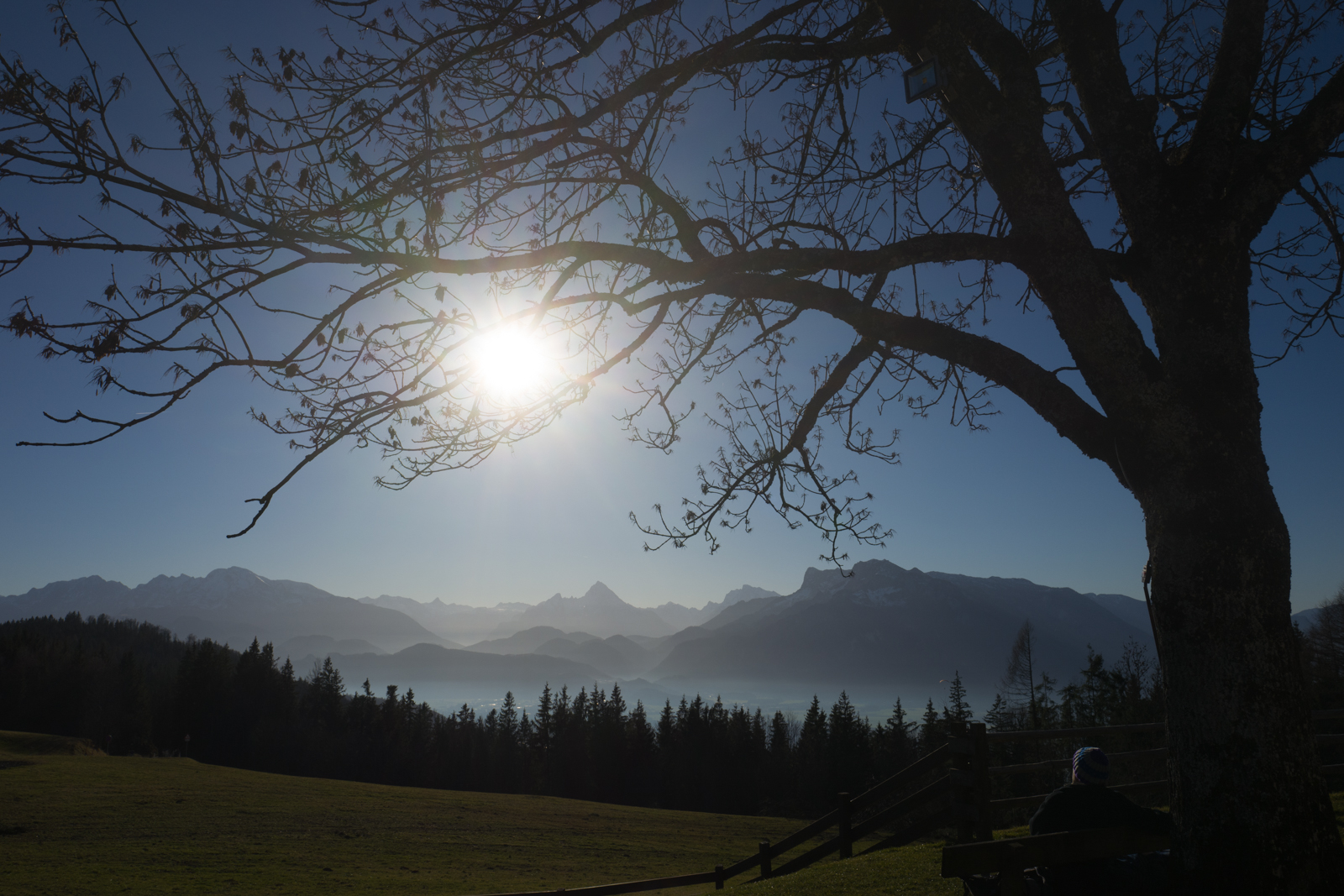 letzte Sonnenstrahlen am Gaissberg bei Salzburg