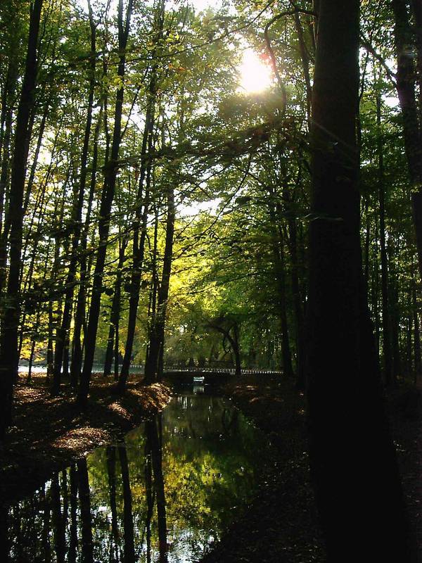 letzte Sonnenstrahlen ....