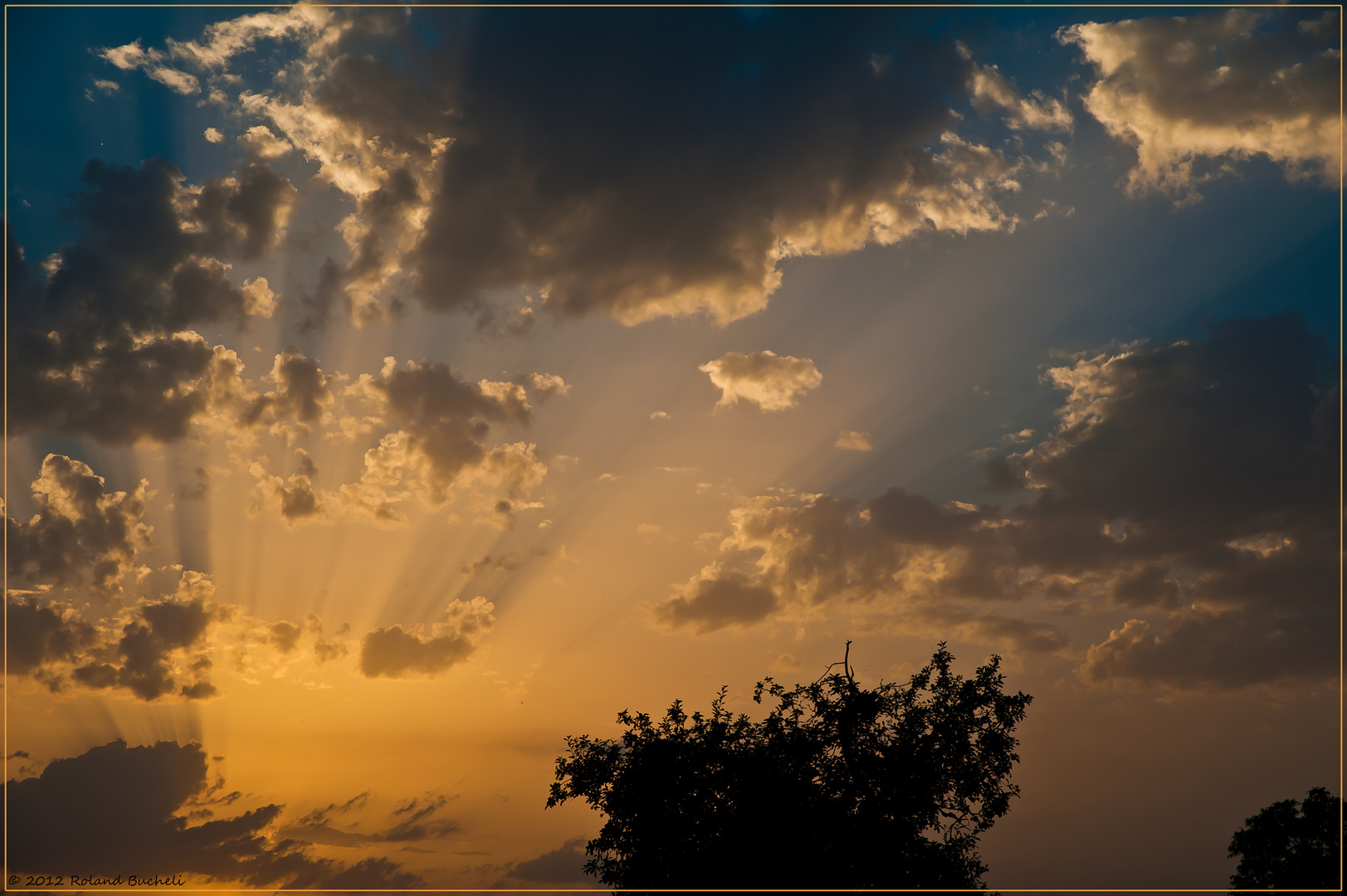 ~ Letzte Sonnenstrahlen ~