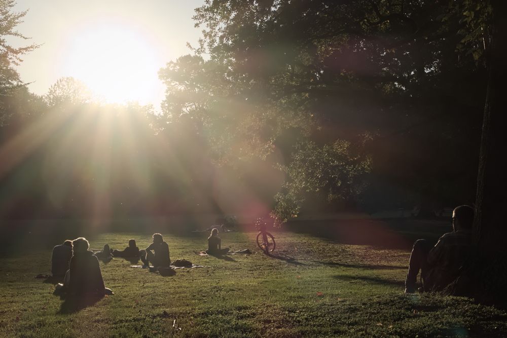 Letzte Sonnenstrahlen